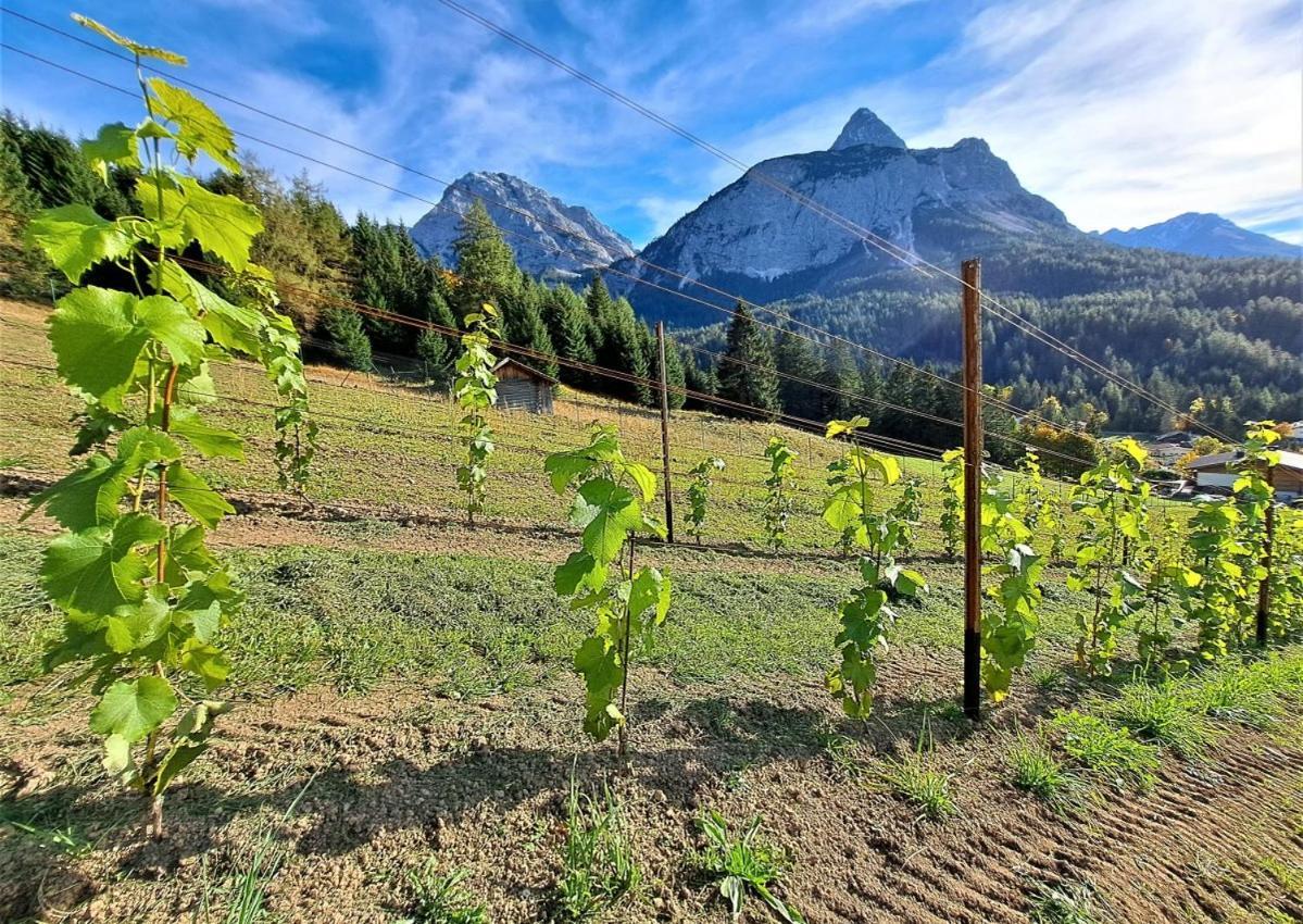 Der Trueferhof Leilighet Ehrwald Eksteriør bilde